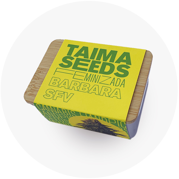 Barbara_SFV_4_fem_BTA.01-4F__2_.jpg