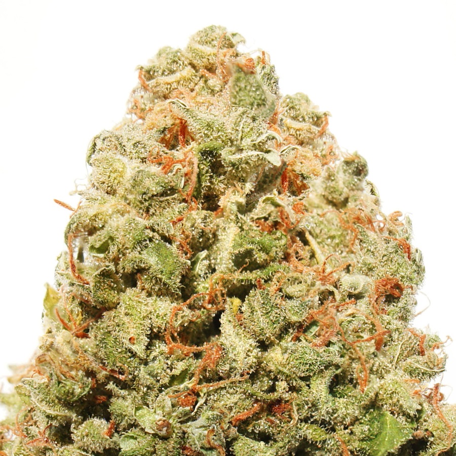 HeavyWeight_Seeds_Strawberry_Cake_r7d2-fh.jpg