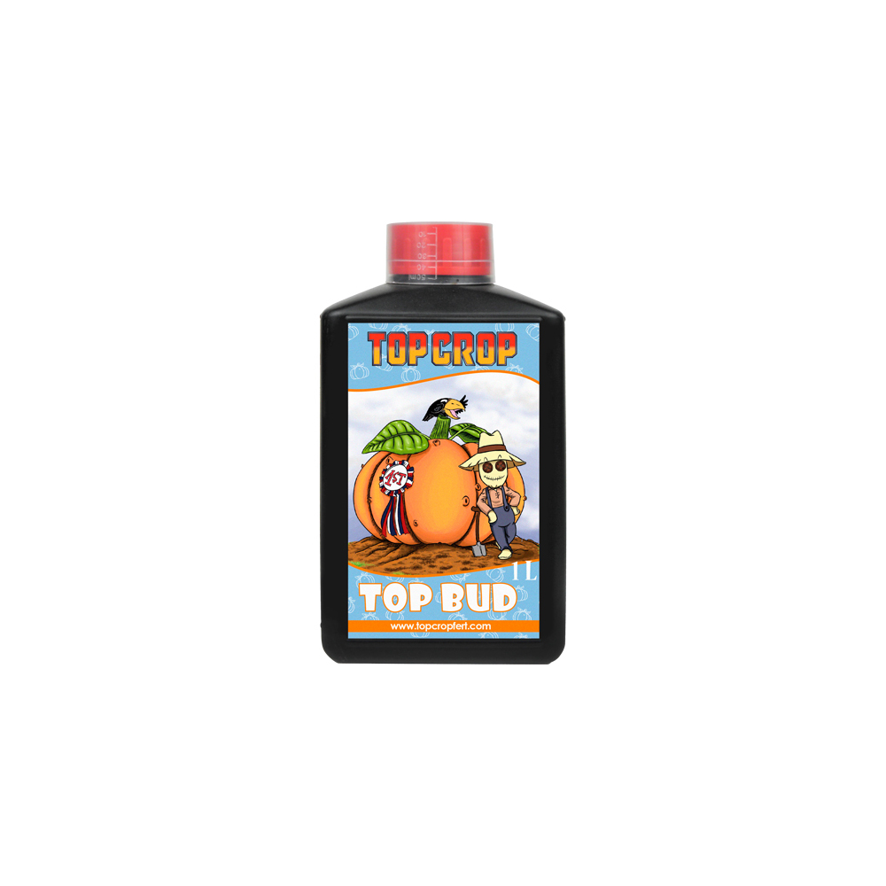 TOPCROP_TOP_BUD_1L_FTC.010-1.jpg