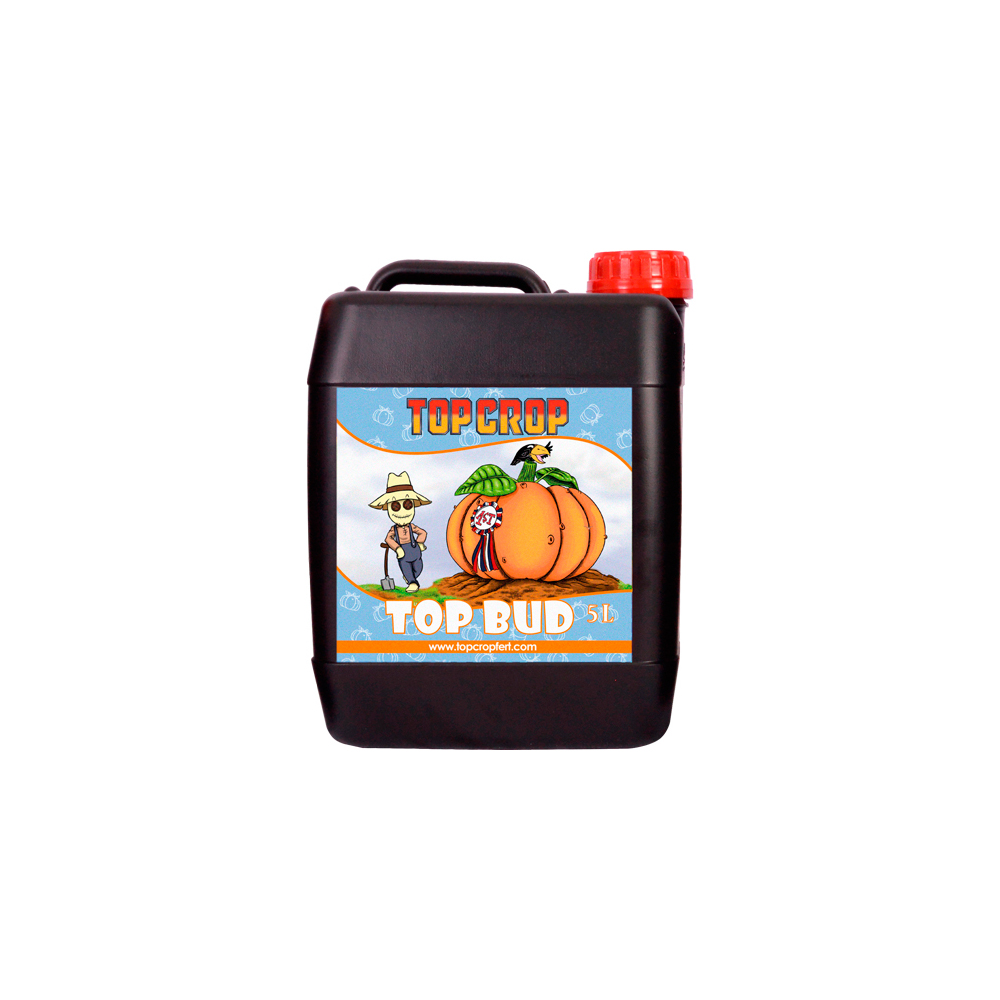TOPCROP_TOP_BUD_5L_FTC.010-5.jpg